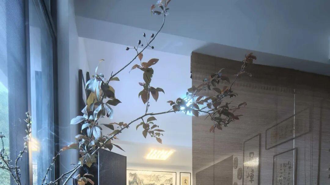 神养 | 与天台隐士的九杯茶