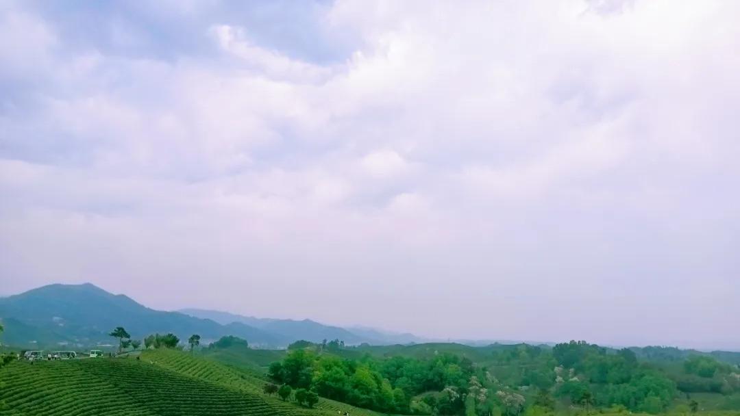 随笔：苍天垂爱，遥祝春安