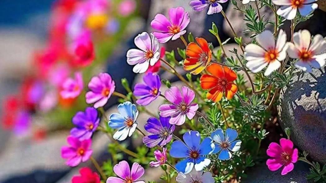 别人的评价，定义不了自己，自己的人生要由自己来掌控