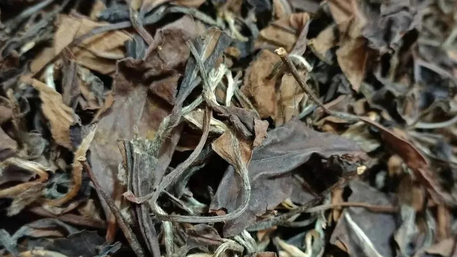 寿眉是品质最差的白茶吗?