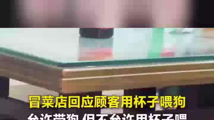 顾客用杯子喂狗，餐厅：允许带狗不允许用杯子喂，餐具是一次性的