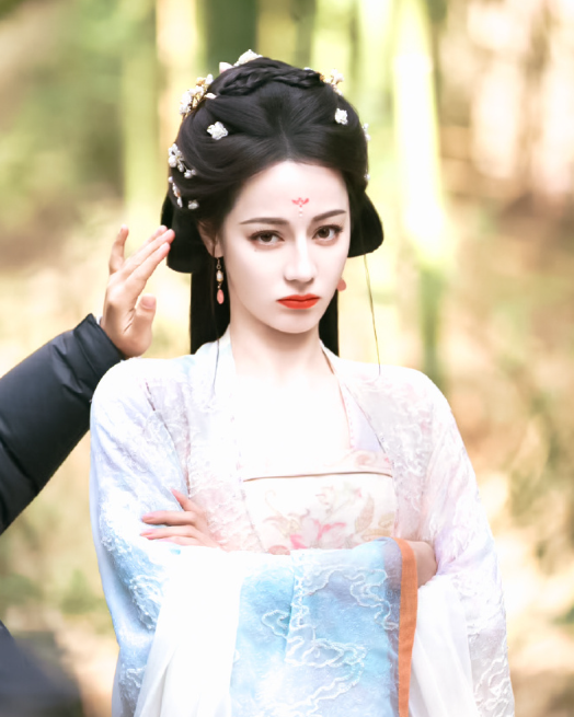 恐有街头胭脂色柳絮沾白雪沾红