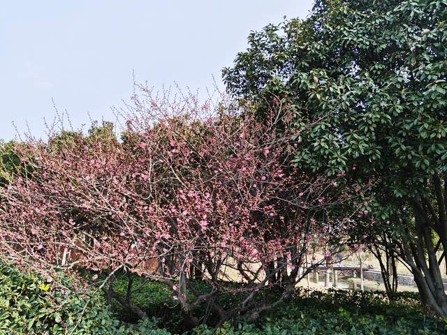 家长永远不要透支自己还要为孩子操心，会帮倒忙，还会发生矛盾