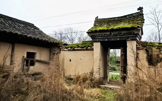 我家房子翻新，挖出五枚金元宝，大伯知道后连夜找到我爸：我仨你俩