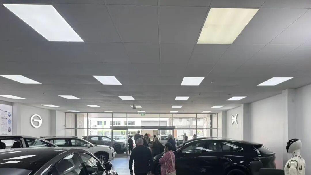 油价上涨，让国产电车的海外销售忙到没时间吃饭