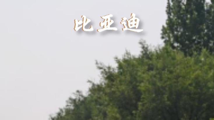车险续保你们一般怎么选择？
