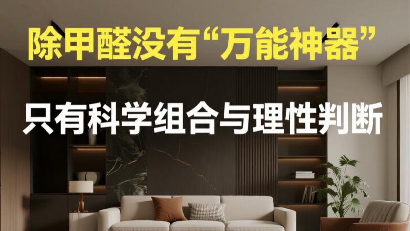 除甲醛方法真相：6大方式效果深度解析