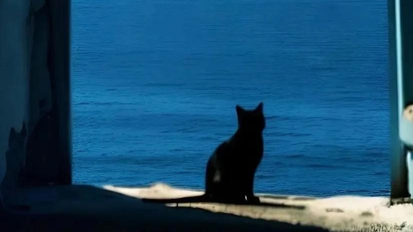 巨门星：“听说很多人讨厌我？”