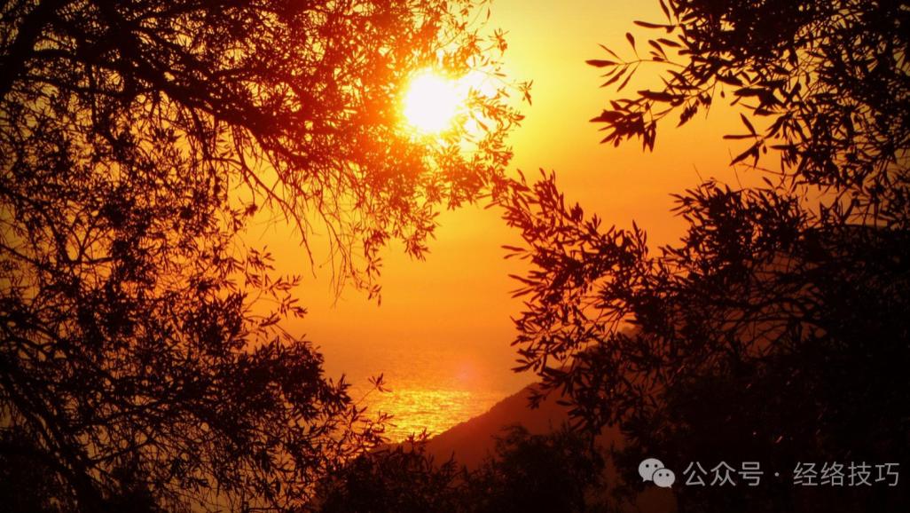 肝火旺的人，身体有5个信号！两个穴位一杯茶，春末夏初试试应对肝火