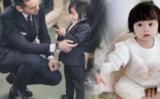 我用芋头给宠物做活动区，他们说我疯了