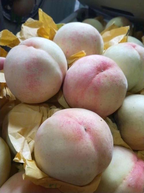 浙江奉化美味，水蜜桃吃法大全！