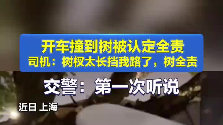 司机开车撞到树嫌树杈太长挡路，称应是树全责，交警：第一次听说