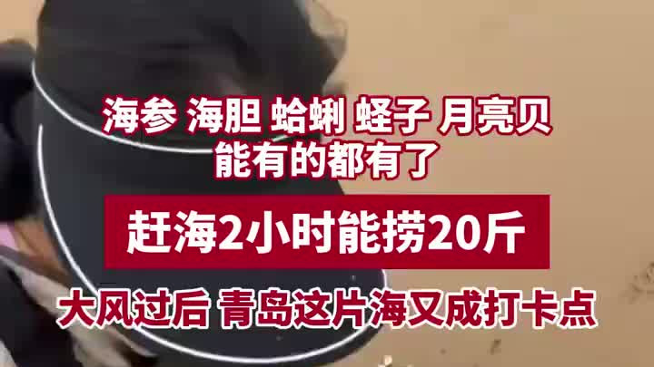 大风过后海鲜被冲上海滩，市民赶海捡到手软，有人捡了二三十斤