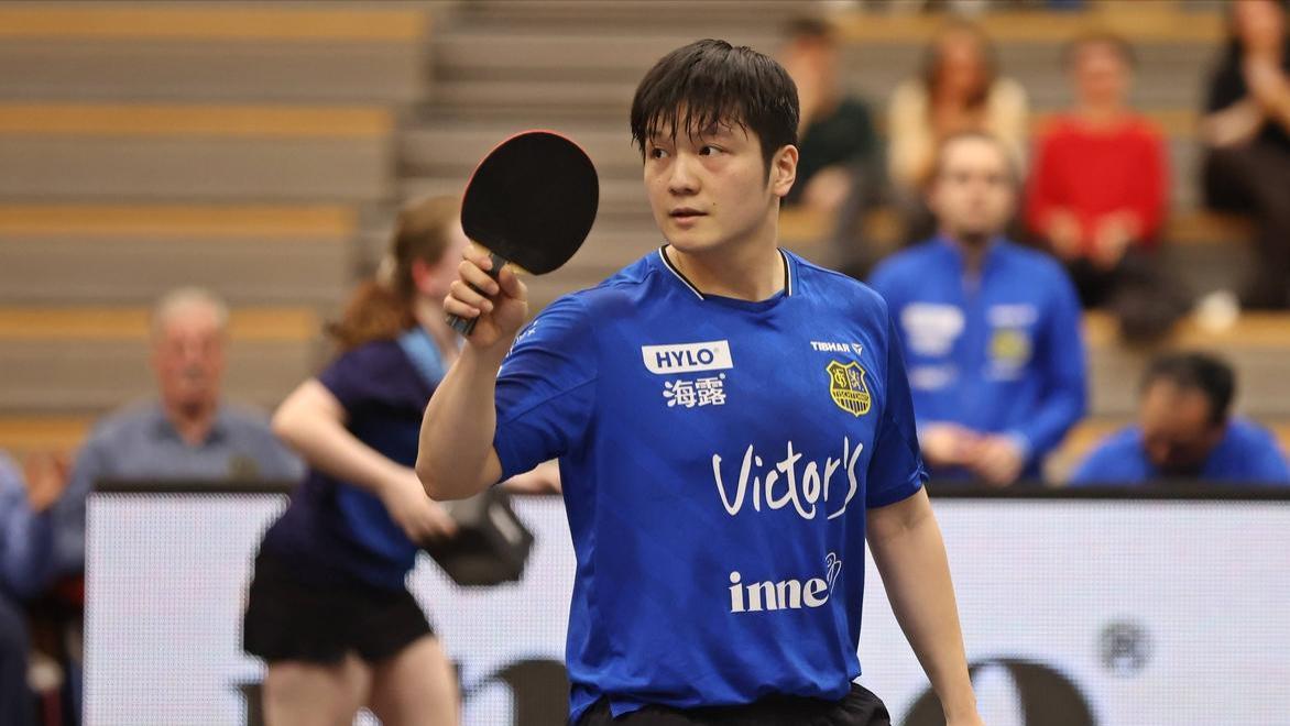 国乒为何频遭滑铁卢？WTT堪称罪魁祸首！樊振东回归之路充满未知