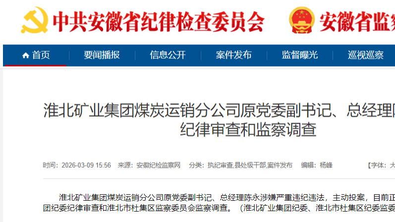 安徽省淮北矿业集团煤炭运销分公司原党委副书记、总经理陈永被查，赋史记·陈永列传