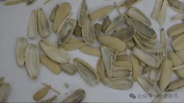 过年爱吃瓜子的注意了，这3类瓜子，尽量少买少吃