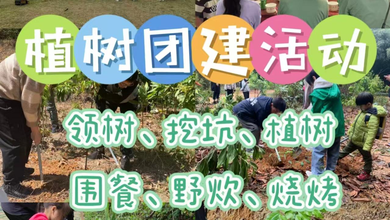 植树节团建｜逃离办公室✨拓展+围餐+植树，治愈又有意义