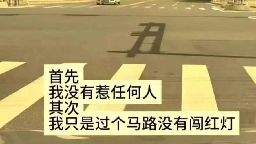 搞笑图集 | 这路灯好像在骂我