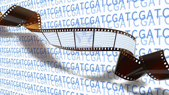 导致酪氨酸血症I型发生的基因突变的复杂性