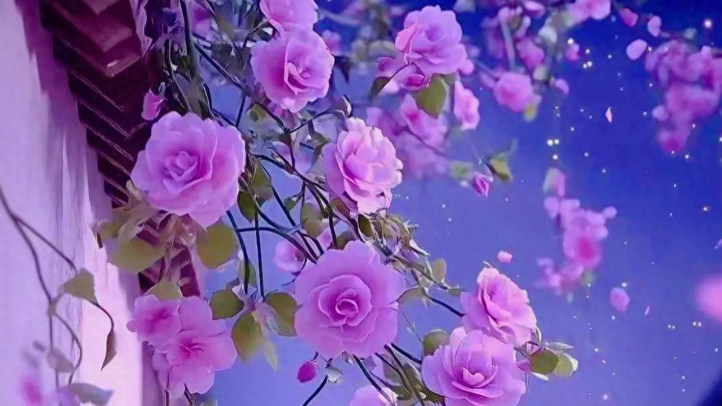 以微习惯为舟，渡过内耗之河，让自律成为本能，让优秀成为习惯