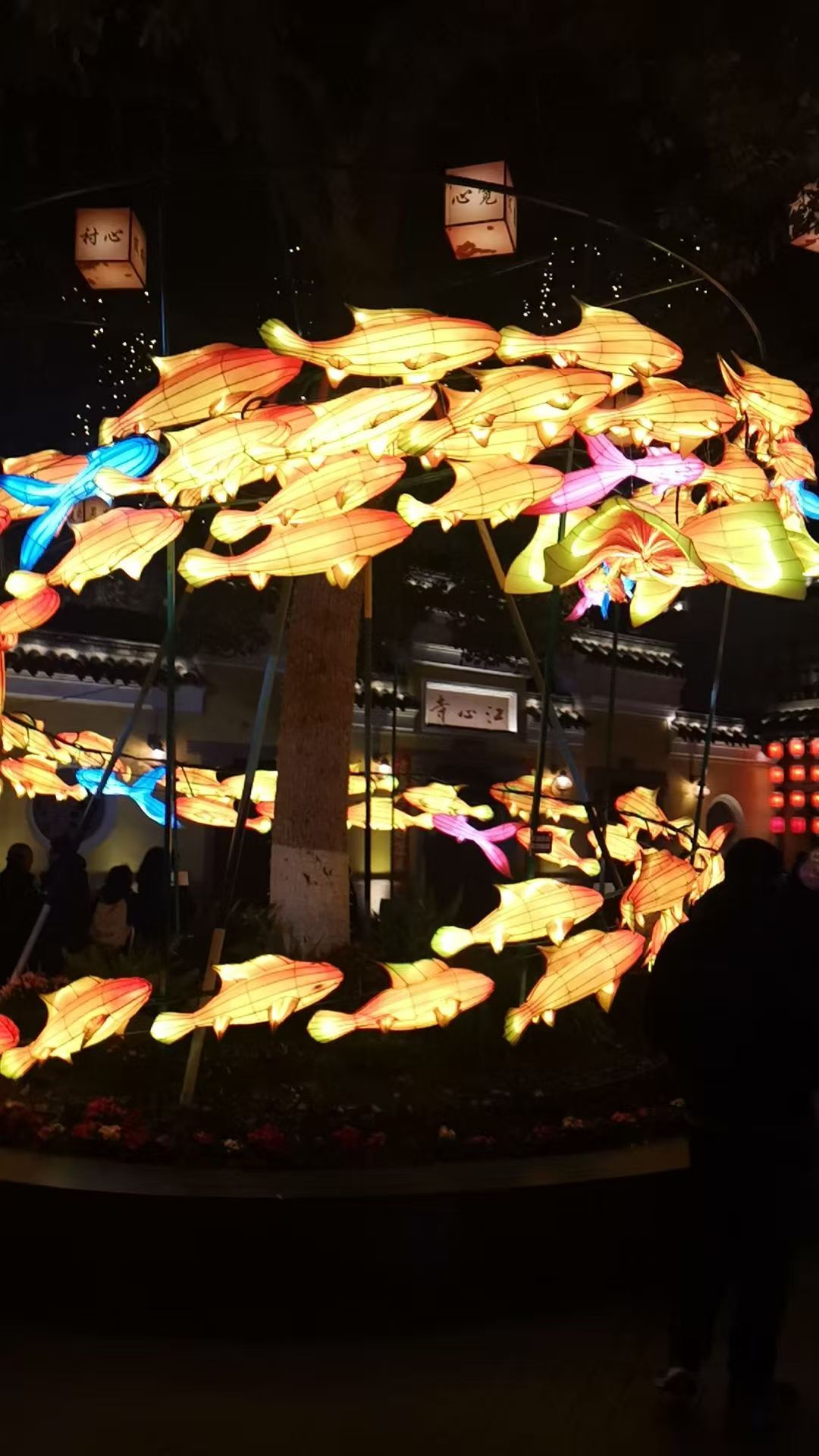  浙江宁波旅游，石浦渔港古城｜打卡非遗渔灯