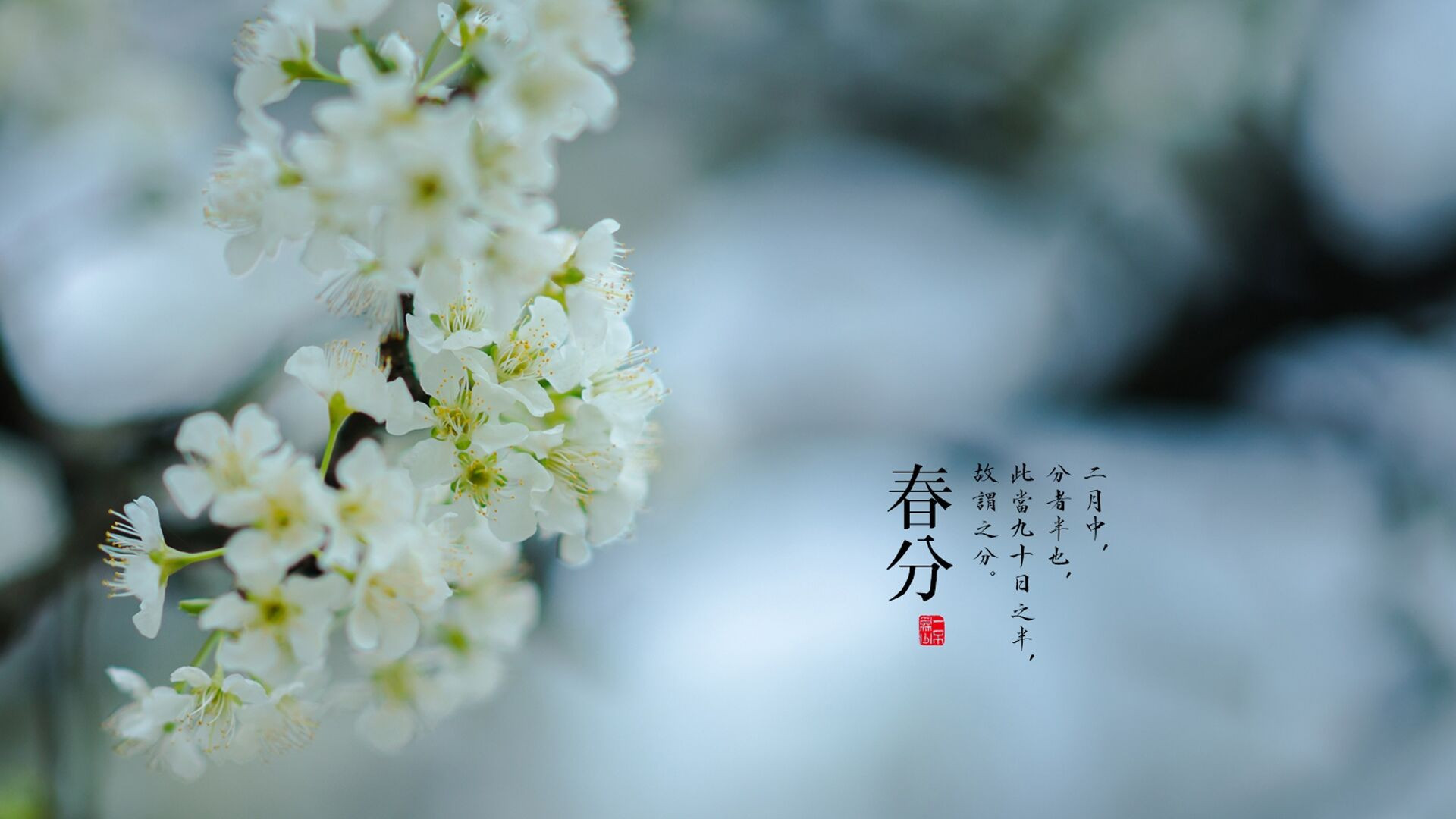 春分将至：今年春分不一般比较特殊，看看老话是咋说的