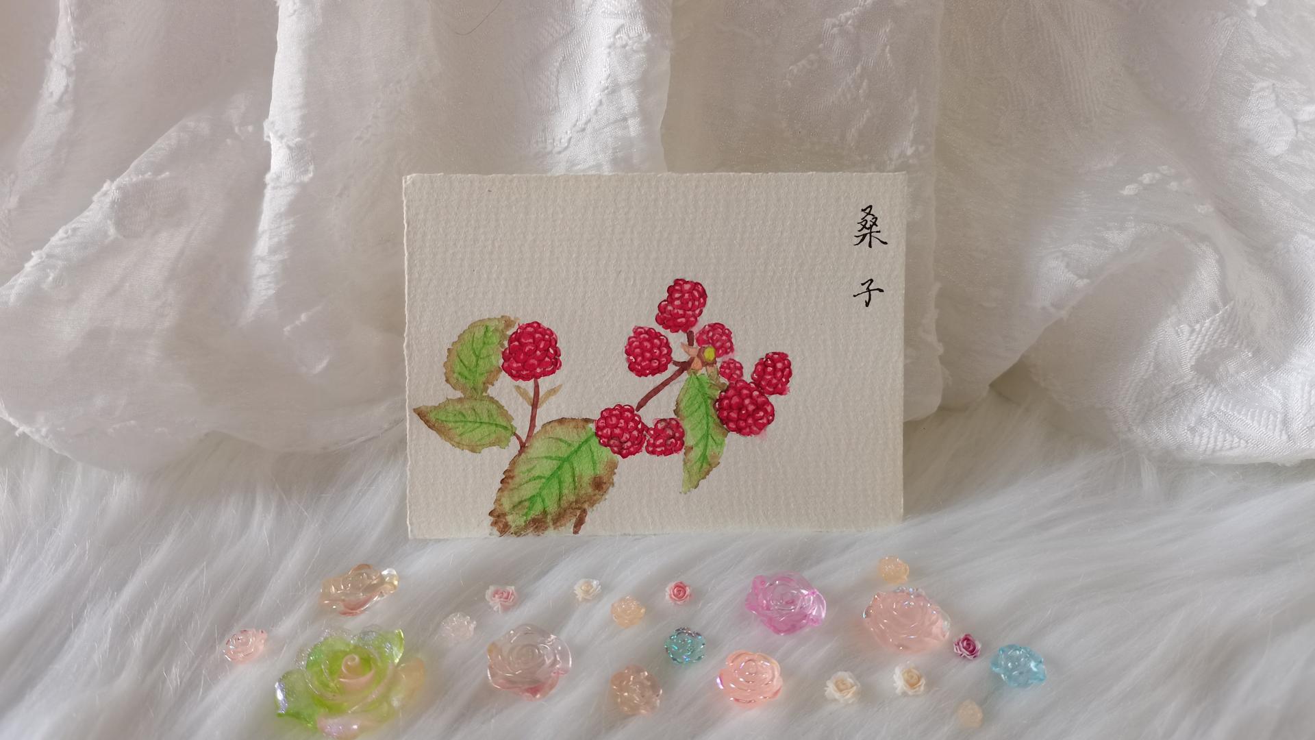 05 水彩桑子（果花甘09）