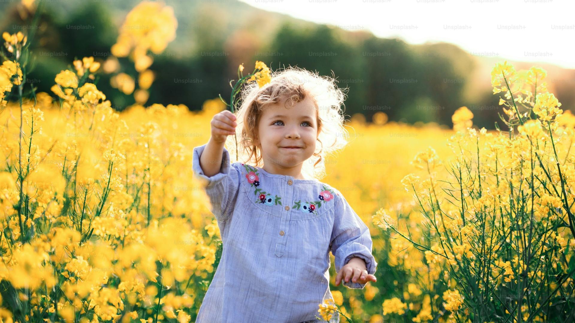 真正决定孩子高度的，不是学校，而是家风