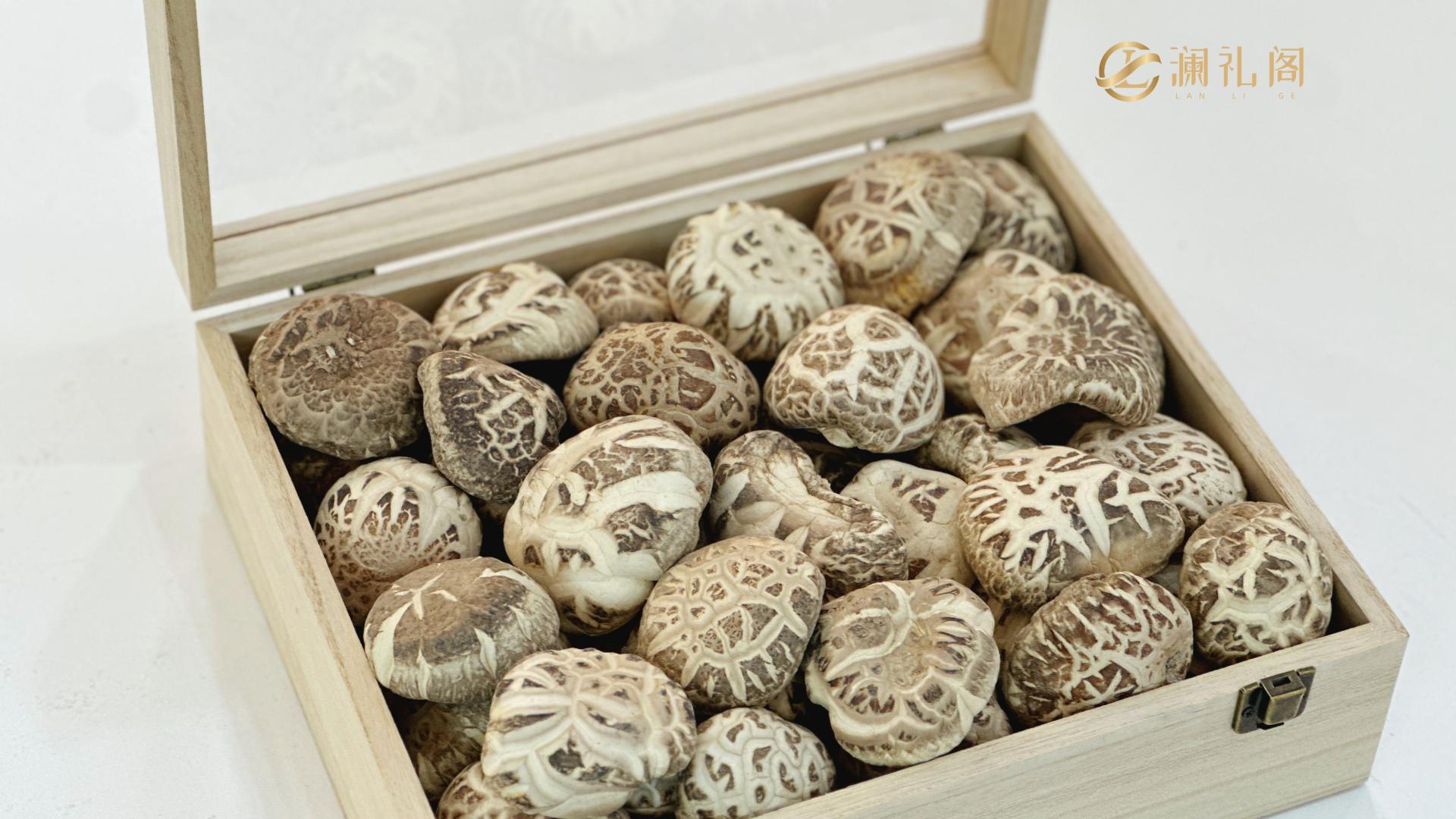 全场景好礼指南，致每一位贵人