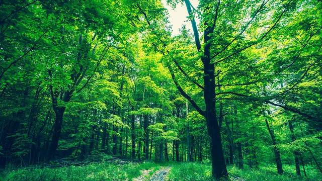 注塑加工生产塑料外壳：高效精准的品质之选