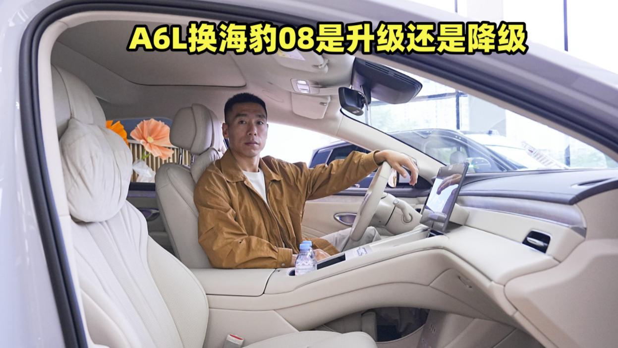 奥迪A6L换海豹08，体验是降级还是越级？