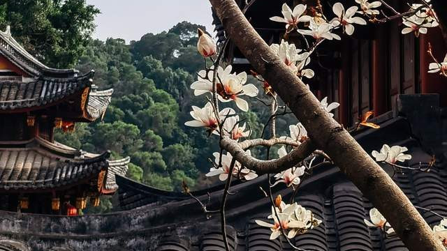 人生最大的幸事是，是深知居安思危的智慧|既济