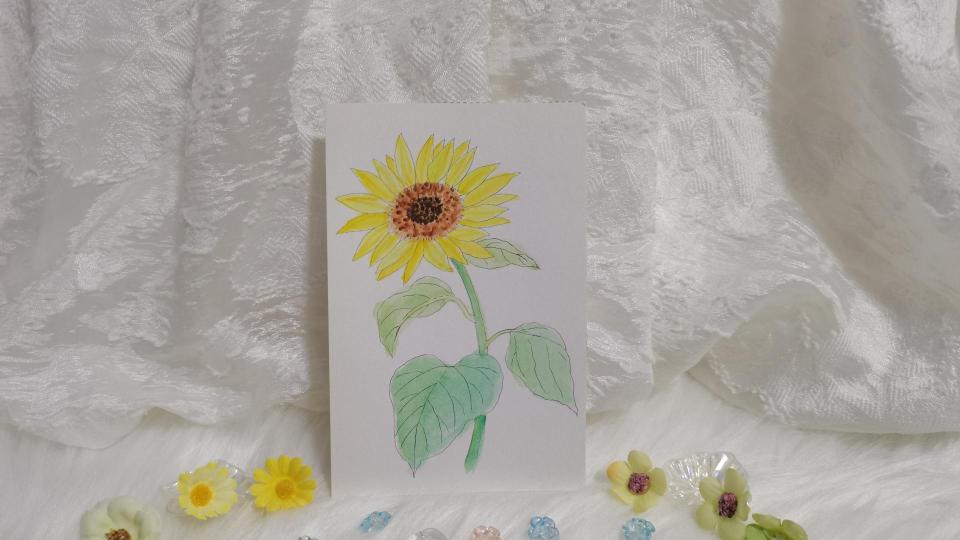 65 葵花（绘画 水彩 果花甘06）