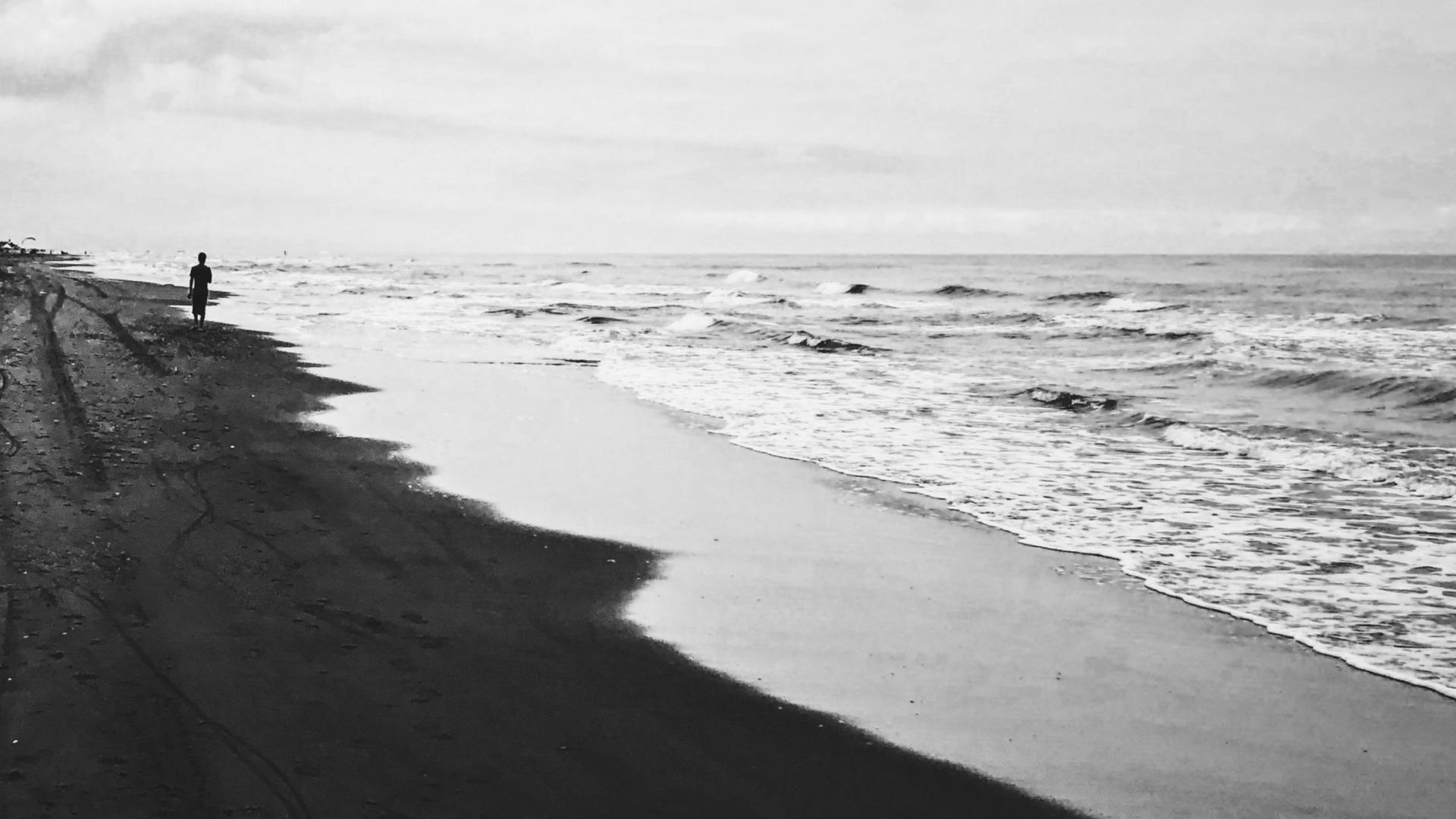 我们有五家可归，终也无家可归