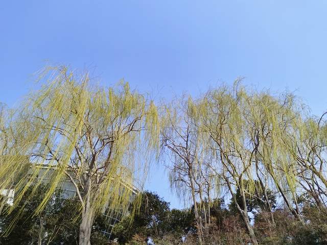 青春期最可怕的不是顶嘴吵架，是孩子慢慢把家长从心里彻底赶出去