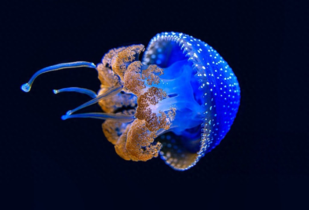 6G的“最后一公里”，中国先拆墙