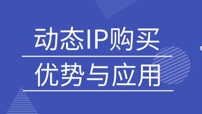 动态IP+网络爬虫：重构数据抓取模式，挖掘业务新机遇