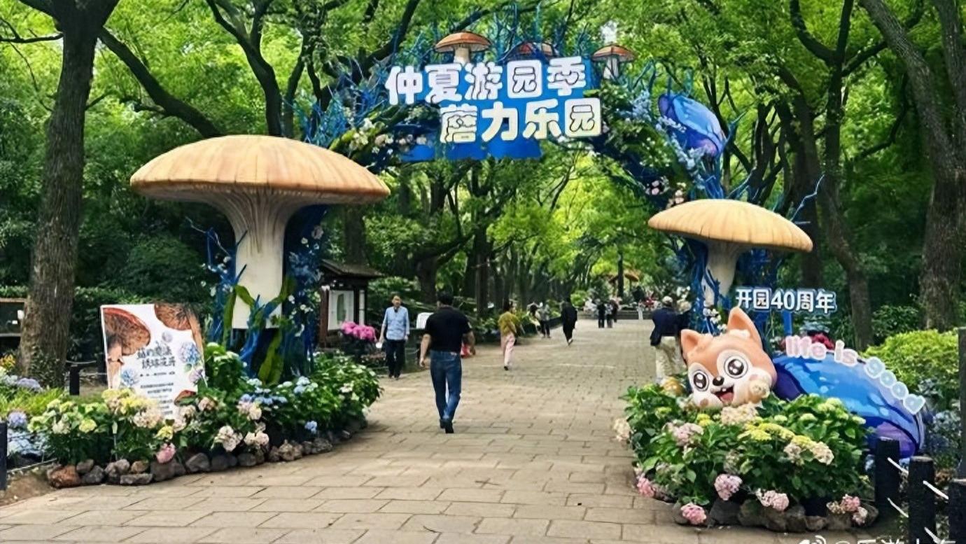 2026上海共青森林公园活动启幕！