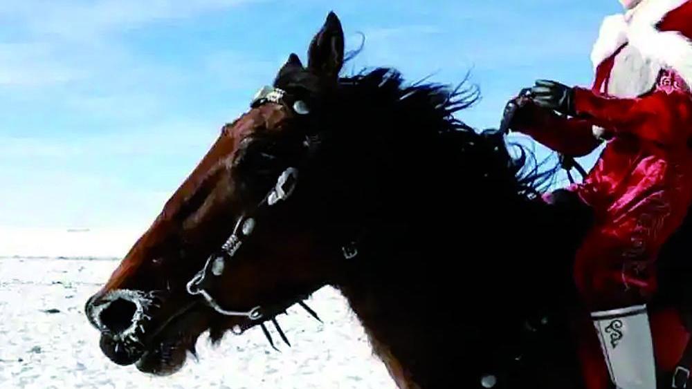 痛别“网红县长”：贺娇龙因公殉职，那抹雪地里的红衣！