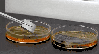 “世界最强”碳纤维，强在哪？有什么用？