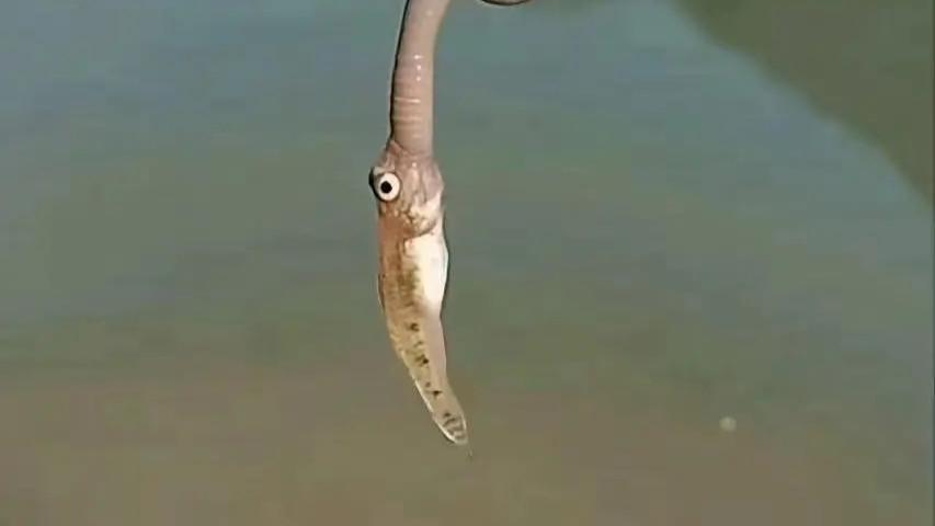 搞笑图集 | 钓鱼佬的天塌了