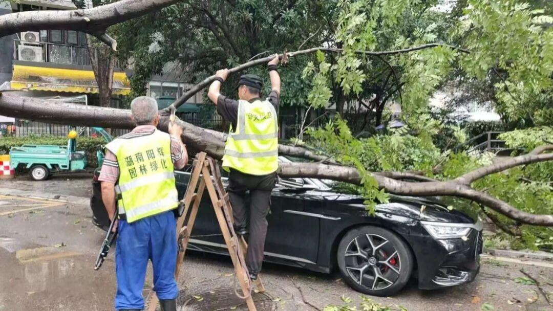 以“人防前置”御风雨，湘江新区全力护城安