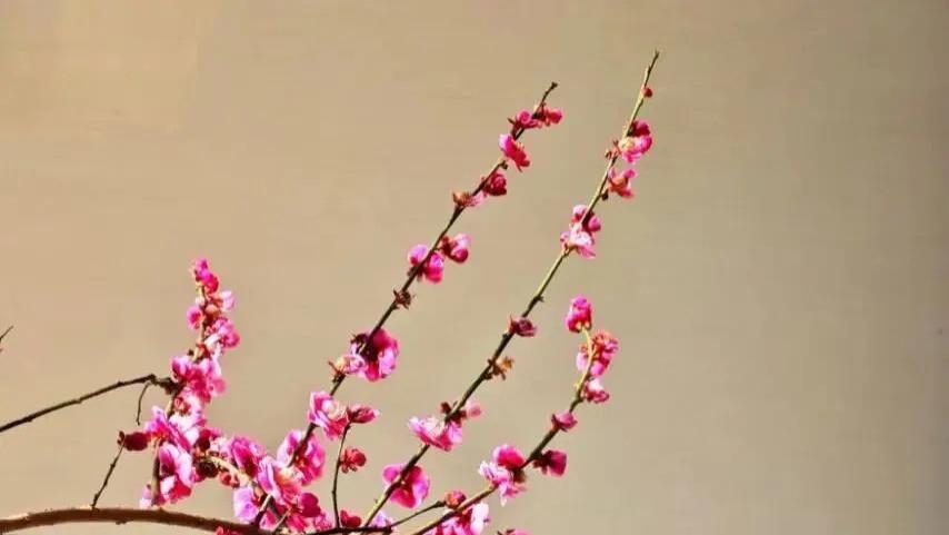 随笔：新一年，我们一起更好