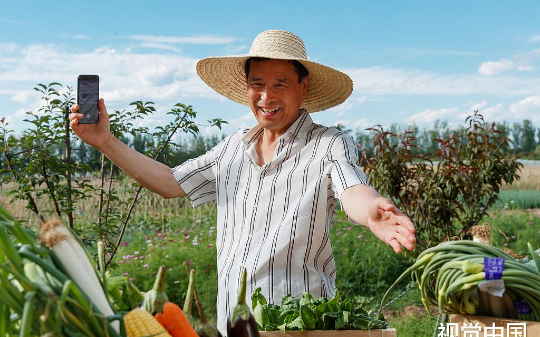 老婆奴有多窝囊？老实庄稼汉被出轨妻子下毒失败后，竟然还求法官轻判妻子！