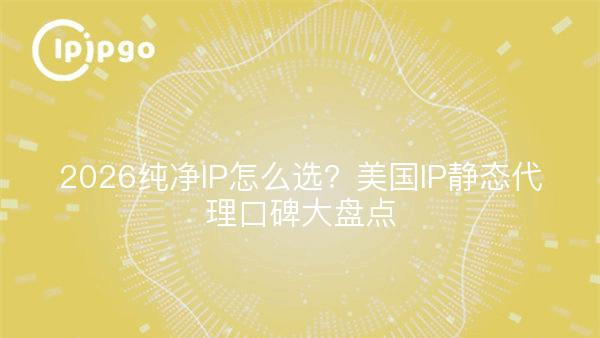 2026纯净IP怎么选？美国IP静态代理口碑大盘点