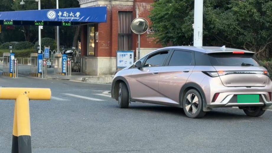 高知分子首选比亚迪？这是对技术与品牌的双重认可