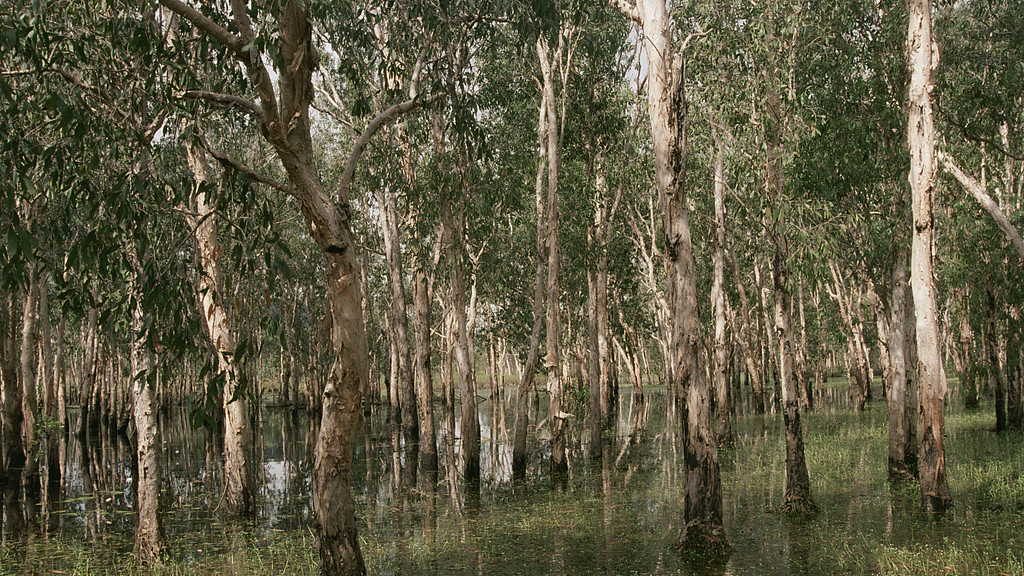 大盘很惨烈，期待明天的反弹