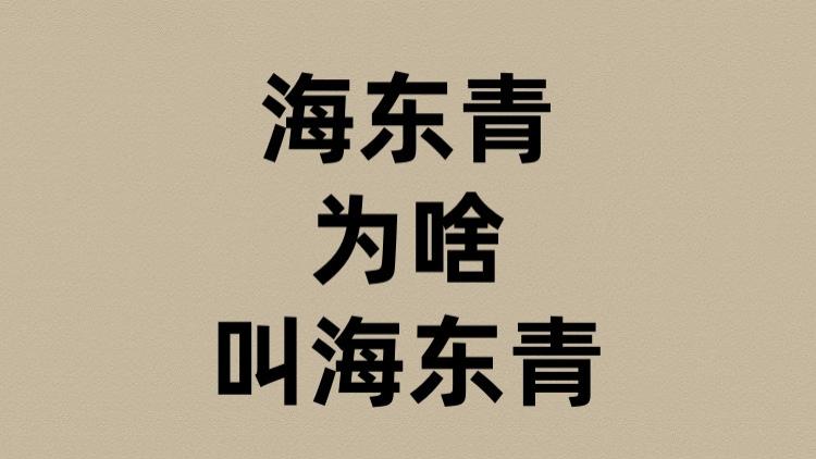 海东青为啥叫海东青？