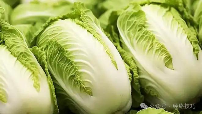 这2种菜很“清肠”！过年完多吃，排便顺了、肚子舒服了、食欲也回来了