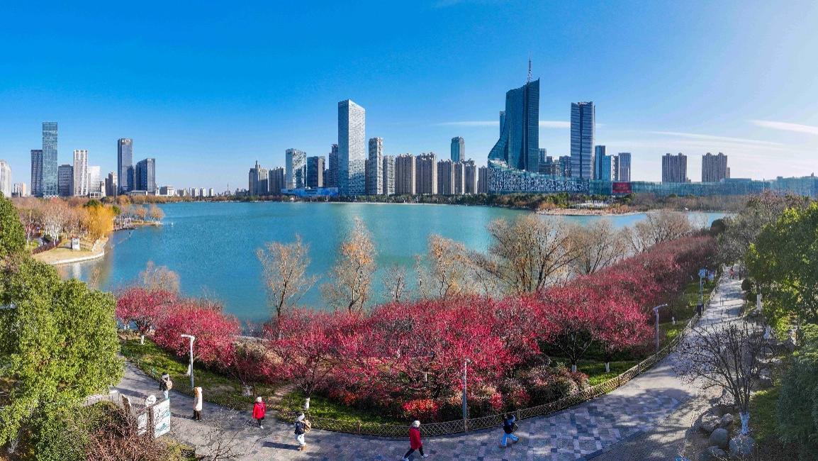 合肥，鲲鹏之势不可挡！